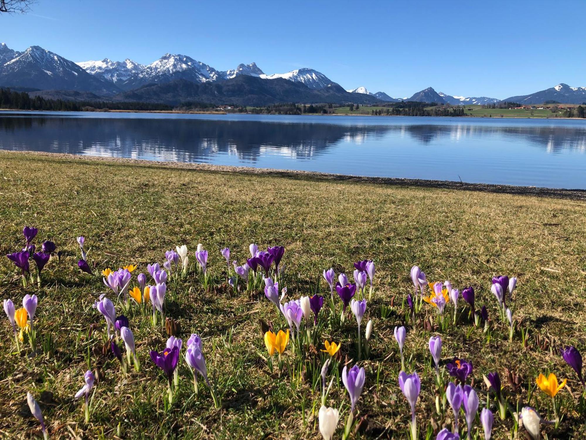 Bio- Und Wellnesshotel Eggensberger Hotel Füssen
